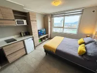 Apart Hotel Bauerle & Apartamentos Hotels in Temuco