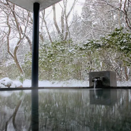 Hoshino Resorts RISONARE Nasu