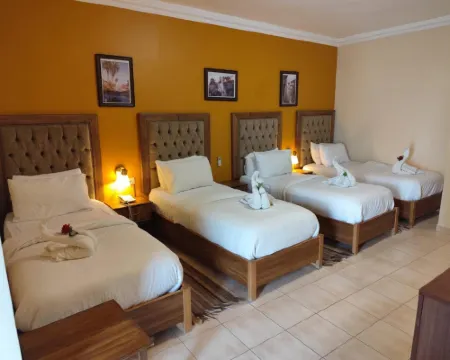 Mariam Hotel Hotels in Madaba
