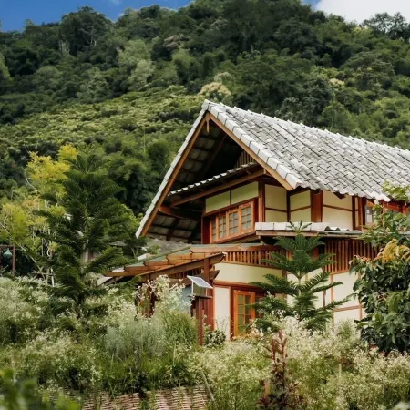 Mori Natural Farm