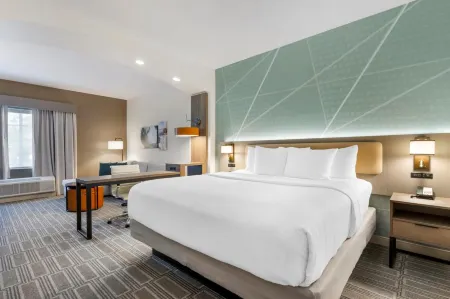 Comfort Inn & Suites Port Charlotte-Punta Gorda