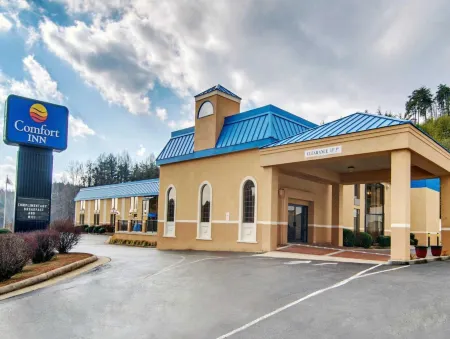 Quality Inn Near Martinsville Speedway Отели в г. Henry County