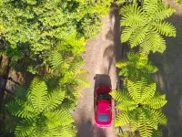 Chambers Wildlife Rainforest Lodges Hotels in Malanda