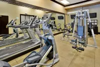 Holiday Inn & Suites CHICAGO NORTHWEST - ELGIN by IHG - Kuntosalit