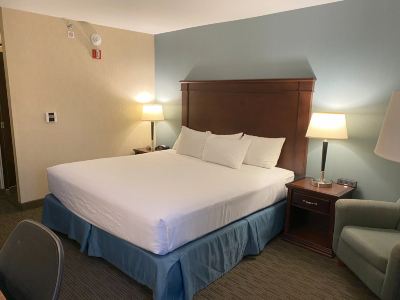 Standard King Room-Communications and Mobility Accessible Drury Inn & Suites Detroit Troy Photo