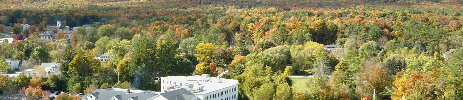Scenic Hotels