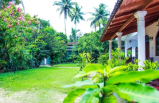 Lotus Villa Hotels in 