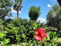Karoo Life B&B Hotels in Ladismith