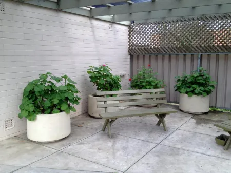 City West Motel Отели в г. Croydon