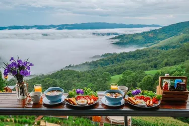 รูปภาพของชิลชิลแคมป์ ภูชี้ฟ้า