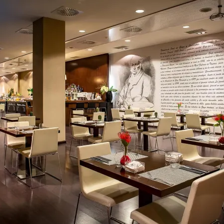 Hotel Diagonal Plaza