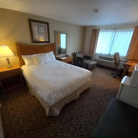Lupine Inn