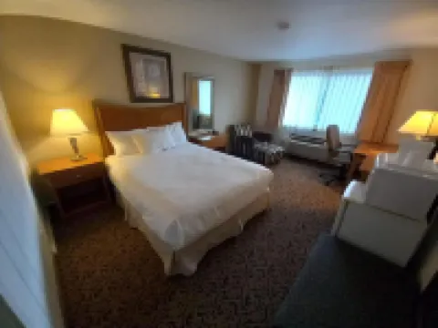 Lupine Inn