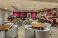 Ramada Plaza by Wyndham Garden Grove/Anaheim South - Barer