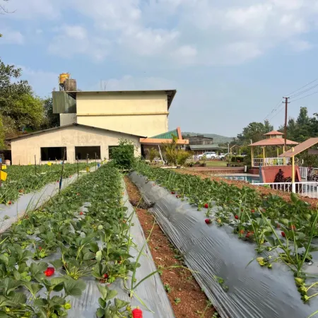 Khushi Riverside Resort & Spa