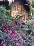 Green Hill Hostel & Tour - Hostels