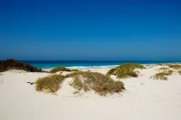 The St. Regis Saadiyat Island Resort, Abu Dhabi - Luxury