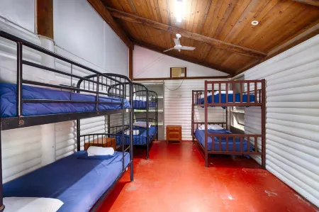 PK's Jungle Village Отели в г. Торнтон Бич