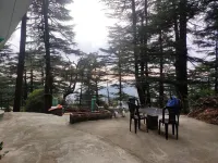 Shree Guest House Hotels near HimTrail Adventures