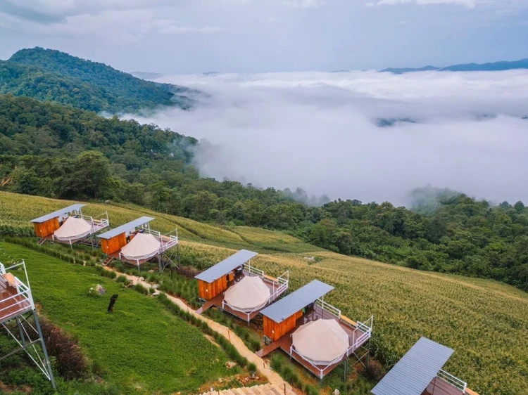 รูปภาพของชิลชิลแคมป์ ภูชี้ฟ้า