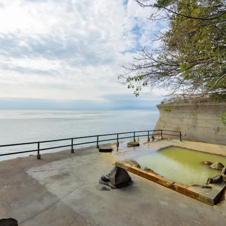 Sakurajima Seaside Hotel