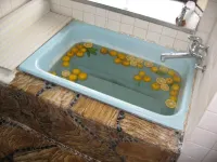 Guesthouse Fukiaesu Hotels in Bungo-ono