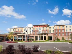 Hilton Garden Inn Ann Arbor
