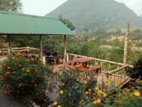 Suan Phao