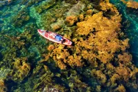 더 H 하우스 퀴논