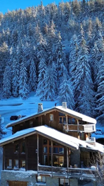 遊蕩的生活 les Arcs