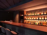 Kamikochi Lemeiesta Hotel - bar