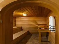 Irwin's Mountain Inn - spa
