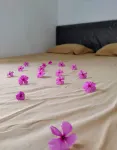 Avana Syariah Villa Hotel di Singosari