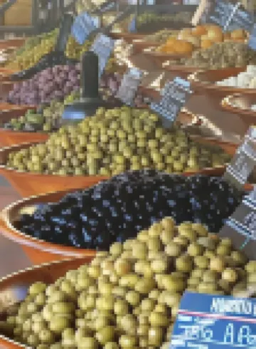 阿雅克肖智選假日飯店 南科西嘉住宿飯店