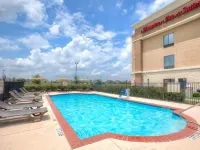 Hampton Inn & Suites Houston - Rosenberg - piscina