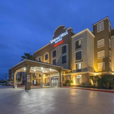 聖安東尼奧市中心/河濱區SpringHill Suites 飯店 赫米斯費爾公園附近的飯店