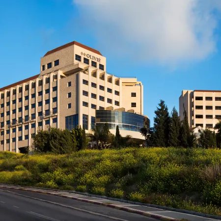 Ramada Olivie Nazareth Отели в г. Нацрат-Иллит