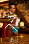 KYNROCK Airport Hotel - bar