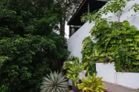 Lunar Villas Koh Tao - Luxury Private Pool Villas - 인피니티 풀