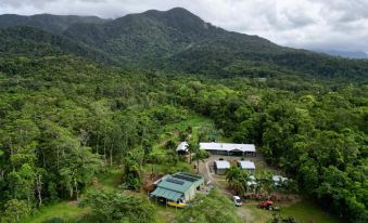 Daintree Peaks Eco Stays