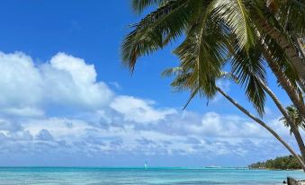 Heron Beach & Spa