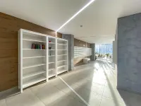 Cosmos on Revolution Street 52V