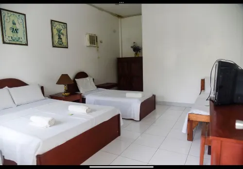 Alexandra by the Sea Hotel a Dapitan