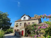 Casa do Fundo - Sustainable & Ecotourism Hotels in Seia