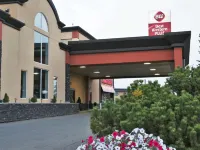 Best Western Plus City Centre Inn Hotels near Alberta Aviation Museum