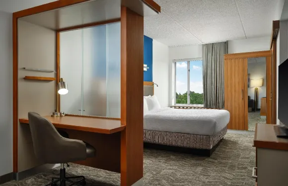 匹茲堡芒特萊巴嫩萬豪SpringHill Suites 酒店