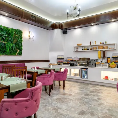 La Strada Boutique Villa Отели в г. Питешти