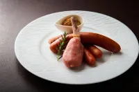 Fourtreat Plus Nasukogen - 4 Sao