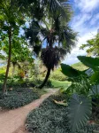 Chalston Beach Resort - Spa