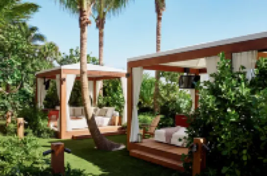 邁阿密海灘海濱艾迪遜飯店 住宿飯店